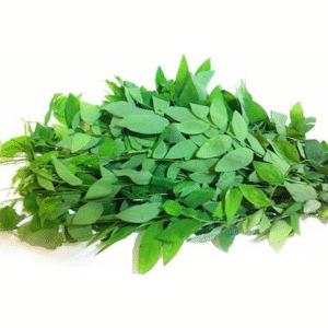 MT Fresh Sauropus Pakwan - Rau Ngot 200g x 1