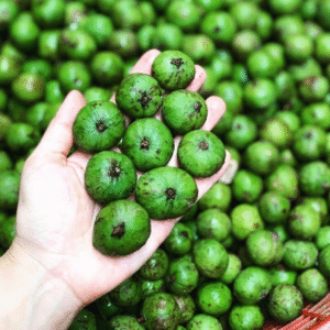 Fresh Dracontomelum Fruit - Trai Sau Tuoi VN 200g x 1