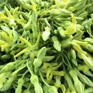 MT Fresh Cowslip Flower (Dok Kajon) - Hoa Thien Ly 200gr x 1