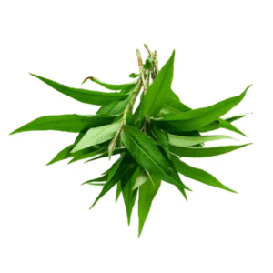 MT Fresh Praew Leaf - Rau Ram 100g x 1