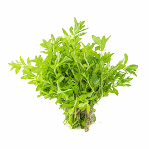 MT Fresh Rice Paddy Herb - Ngo Om 100g x 1