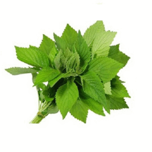 MT Cockscomb Mint - Kinh Gioi 100g