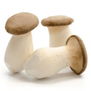 Fresh King Oyster Mushroom Eryngii - Nam Dui Ga 200g x 1pack