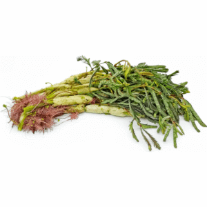 T&T Water Mimosa - Rau Nhut 200g x 1
