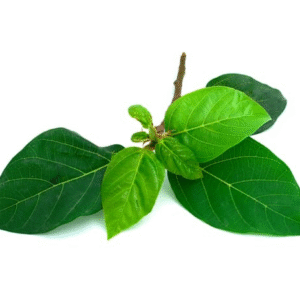T&T Fig Leaves - La Sung 100g x 1