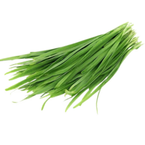 Garlic chives - Rau He