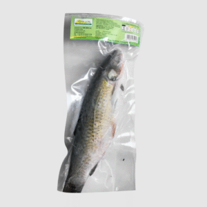 Exostar Whole Snakehead Fish - Ca Loc Nguyen Con x 1