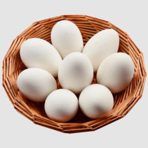 Duck Egg - Unit VL