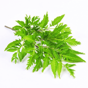 MT La Dinh Lang 100g