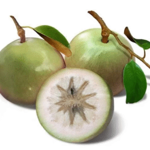MT Star Apple - Vu Sua kg