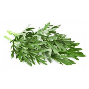 T&T Mugwort - Rau Ngai Cuu 100g x 1