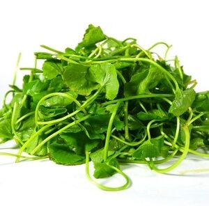 Longdan Water Pennywort - Rau Ma 100g