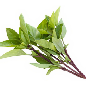 Longdan Fresh Sweet Basil - Rau Hung Que 100g x 1