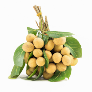 MT Fresh Longan - Nhan Thai 1kg