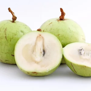T&T Star Apple - Vu Sua Kg