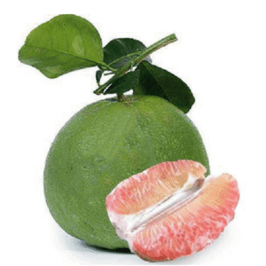 Longdan Fresh Pink Pomelo - Buoi Xa Xanh Viet Nam x 12pcs