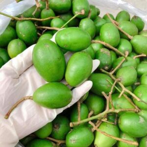 Dinh Le Ambarella Baby - Coc Non 1kg