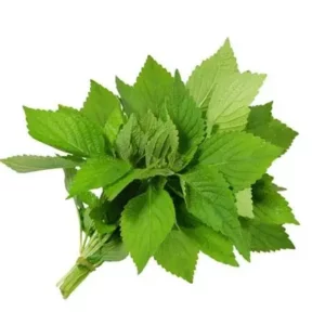 T&T Kinh Gioi Farm 100g