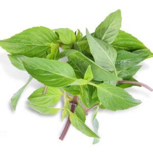 T&T Fresh Sweet Basil - Hung Que Farm 100g x 1